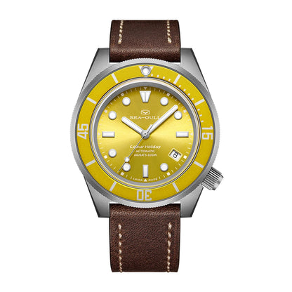 Seagull Color Holiday Men's Automatic Mechanical Watch Titanium Alloy Luxury Diving Watch Sapphire Glass Luminous Wristwatch 414