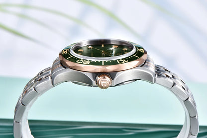 PAGANI DESIGN 2026 New Business Watch Mechanical luxury Wrist watch for men Automatic Miyota 8215 Clock Men Watch waterproof