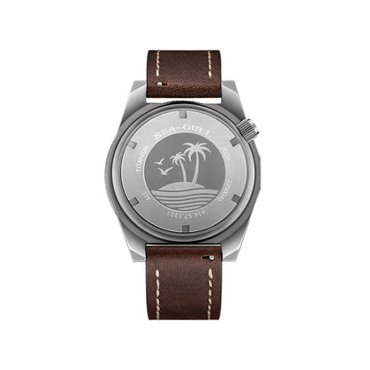 Seagull Color Holiday Men's Automatic Mechanical Watch Titanium Alloy Luxury Diving Watch Sapphire Glass Luminous Wristwatch 414